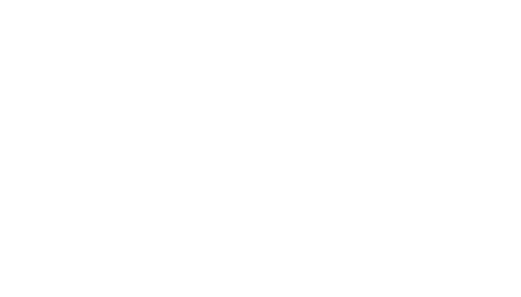 NexusBridge Capital Consulting